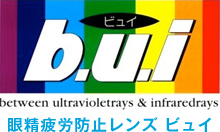 眼精疲労防止レンズ ビュイ