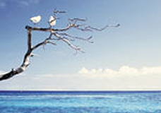 カラーフィルターレンズ装用時